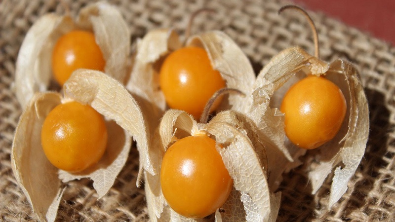 GoldenBerries For Glowing Skin